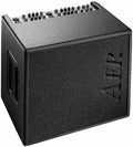 AER Domino 3 Acoustic Instrument Amplifier