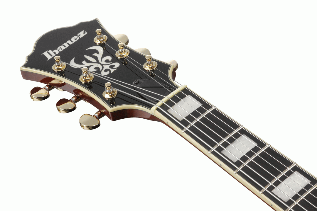 Ibanez AF95 Artcore Guitar - Dark Amber