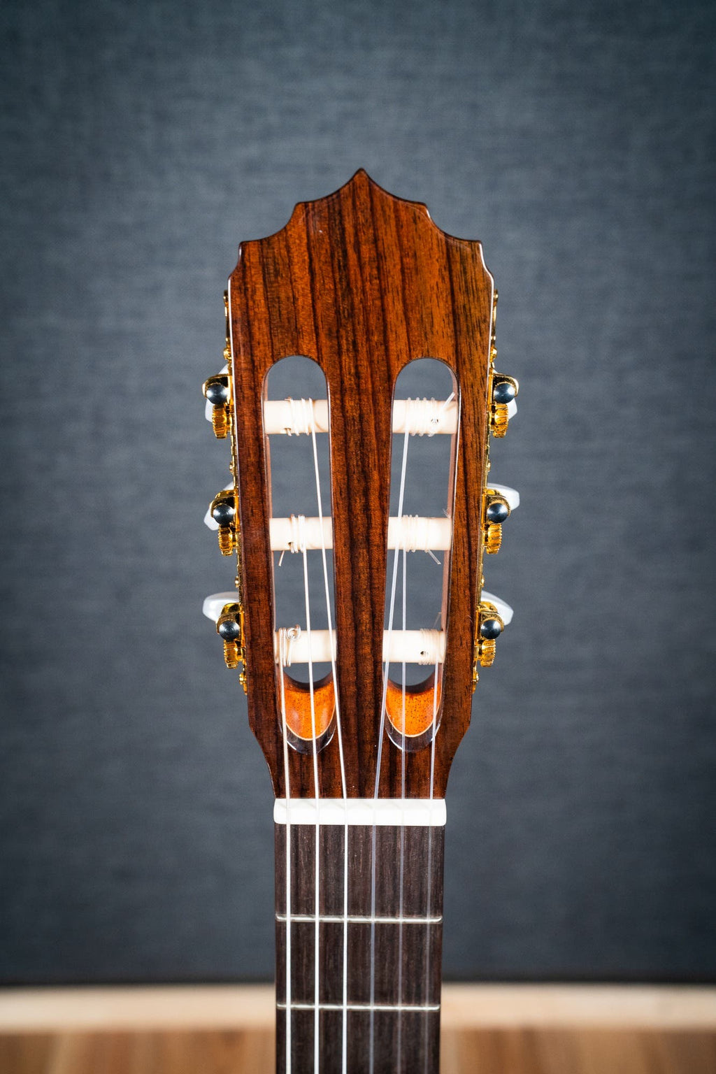 Altamira N300CT Classical / Nylon String w/Cutaway + Pickup - Cedar / Rosewood