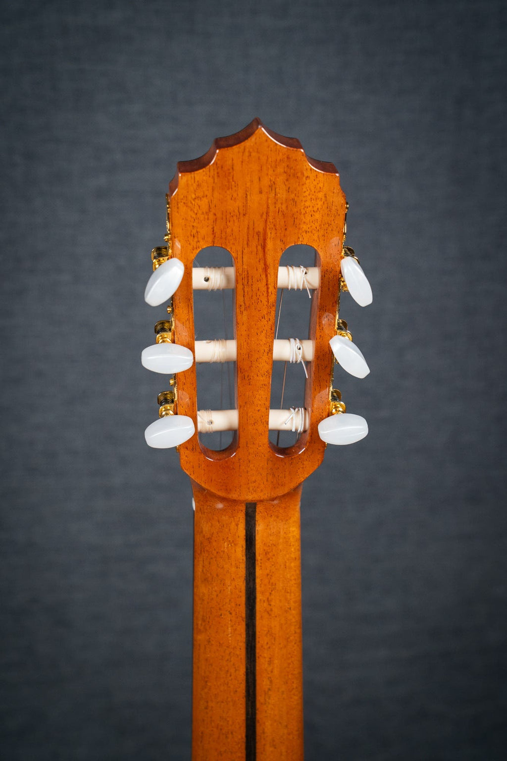 Altamira N300CT Classical / Nylon String w/Cutaway + Pickup - Cedar / Rosewood