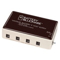 Danelectro Battery Billionare