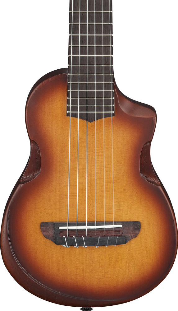 Ibanez AUP10N Ukulele w/ Bag - Open Pore Light Brown Sunburst