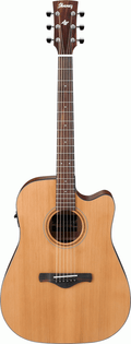 Ibanez AW65ECE Acoustic Electric Guitar - Natural Low Gloss