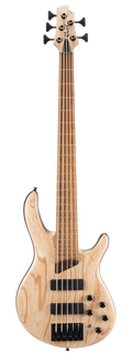 Cort B5-Element 5-String Bass - Open Pore Natural
