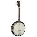 Barnes & Mullins 'Perfect' 4-String Gaelic Tenor Banjo