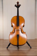 Vasile Gliga Advanced Cello Outfit 4/4 - Antique Oil Finish