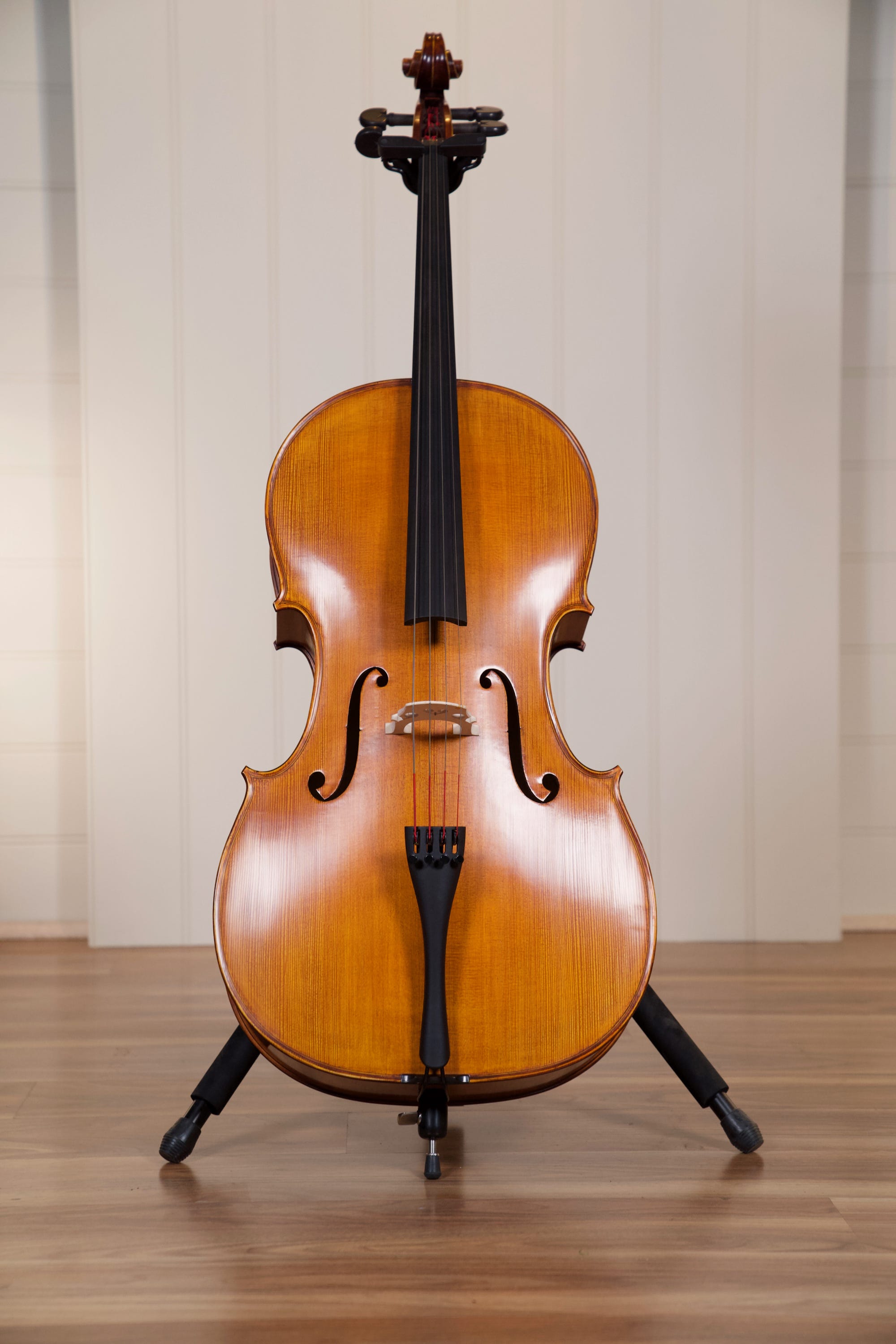 Vasile Gliga Advanced Cello Outfit 4/4 - Antique Oil Finish