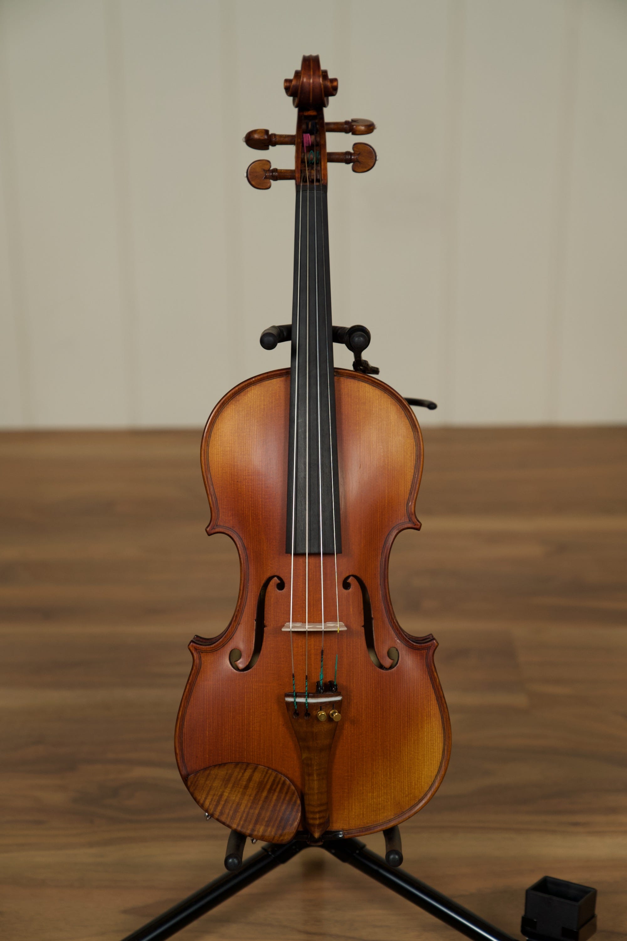 Gliga Vaslie Genova Violin w/Evah Pirazzi Strings