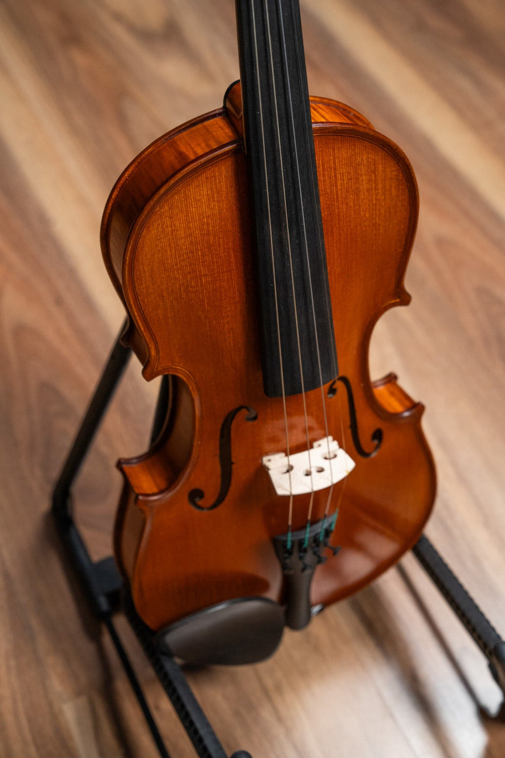 GLIGA VASILE 4/4 SUPERIOR MODEL VIOLIN SET UP W/OPAL GOLD STRINGS (VIOLIN ONLY)