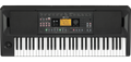 Korg EK-50 Entertainer Keyboard