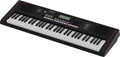 Roland E-X10 Arranger Keyboard (EX10)