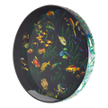 Remo Ocean Drum 22" Fish Graphic