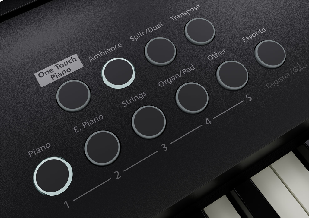 Roland FPE50BKS Entertainment Piano Bundle - Black