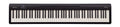 Roland FP-10 Portable Digital Piano - Black (FP10)