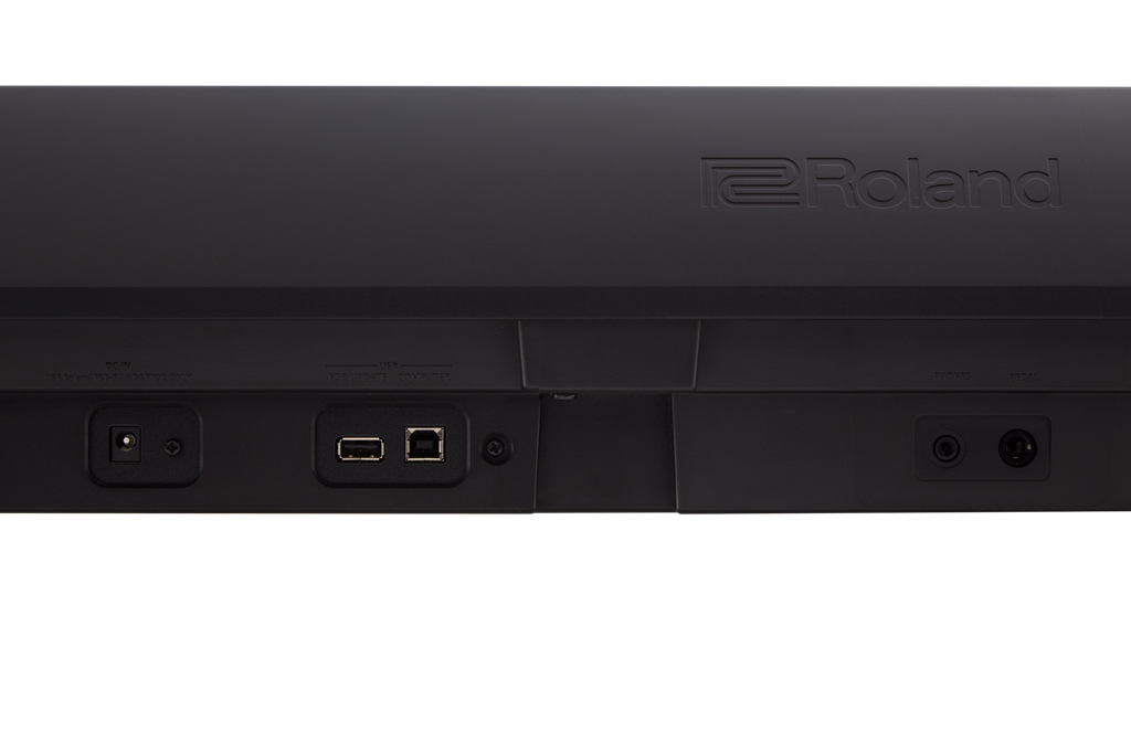 Roland FP-10 Portable Digital Piano - Black (FP10)