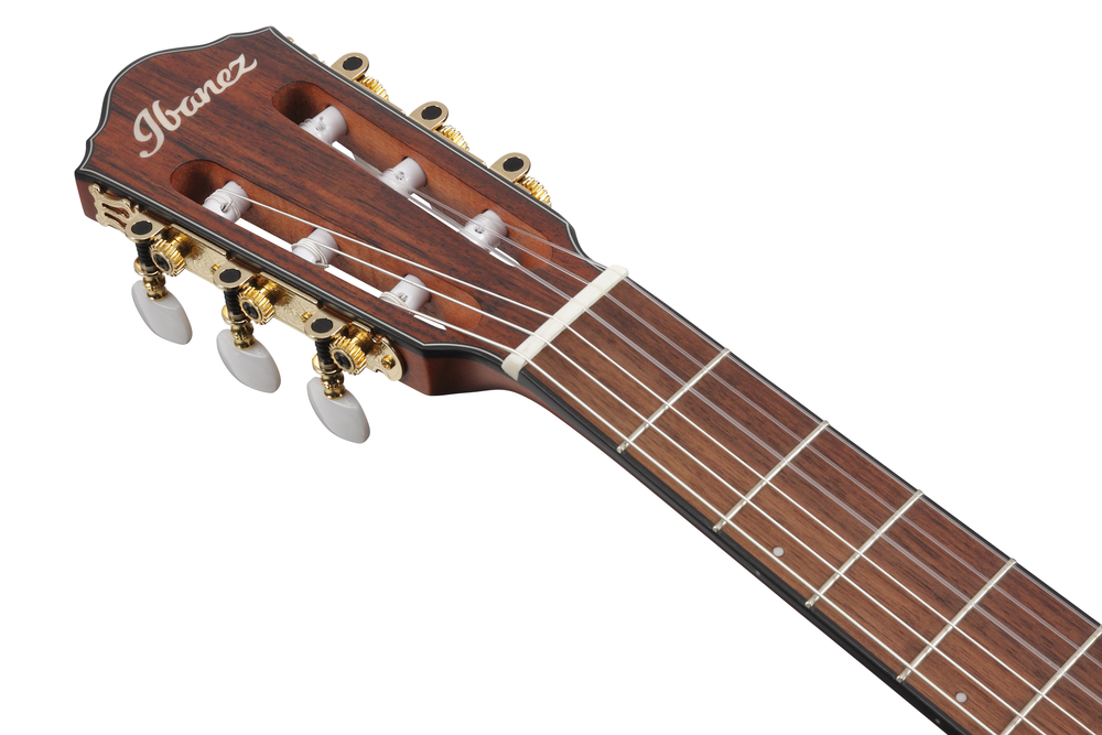 Ibanez FRH10N Nylon String Guitar - Rose Gold Metallic Flat