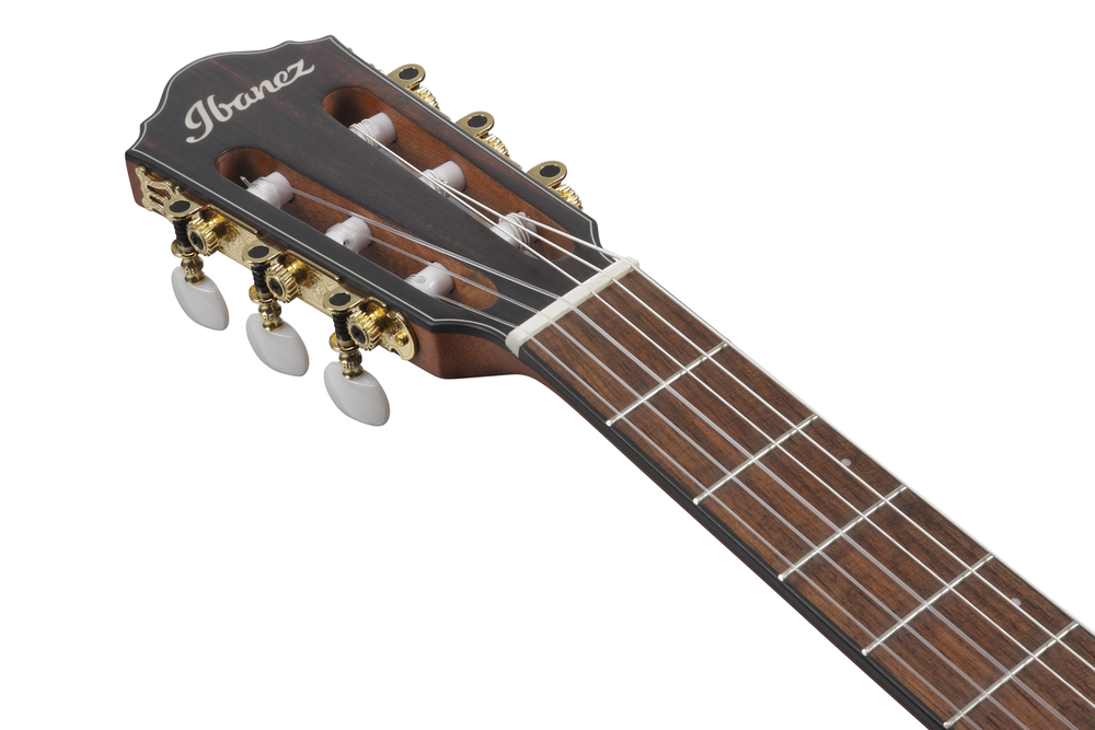 Ibanez FRH10N LH Nylon String Guitar - Left Handed - Brown Sunburst Flat