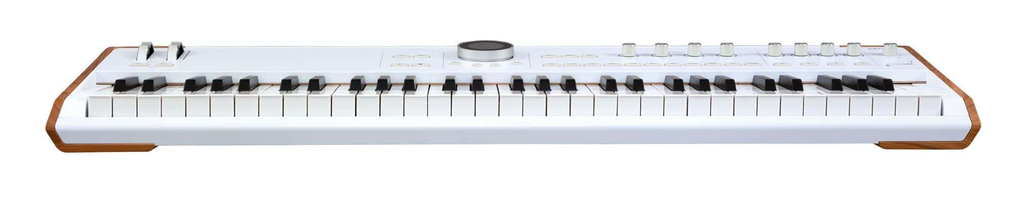 Arturia ASTROLAB 61-Note Stage and Studio Synth