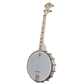 Goodtime 17-Fret Tenor Open-back Banjo