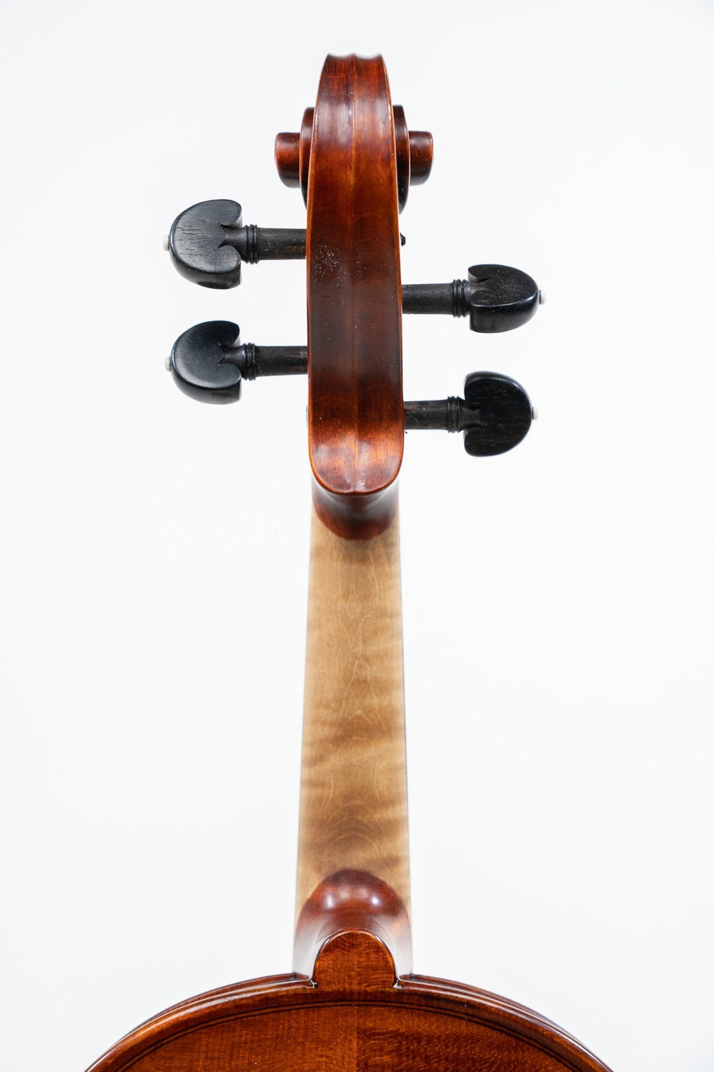 GLIGA 4/4 VASILE NO 5 VIOLIN PROFESSIONAL SETUP W/OPAL GOLD STRINGS (VIOLIN ONLY)