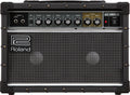 Roland JC-22 Jazz Chorus Guitar Amplifier (JC22)