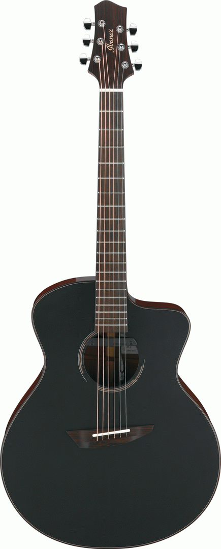 Ibanez JGM10 BSN JON GOMM Acoustic Guitar W/Case - Black Satin Top