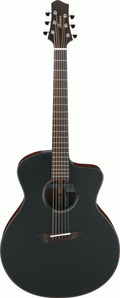 Ibanez JGM10 BSN JON GOMM Acoustic Guitar W/Case - Black Satin Top