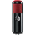 Shure KSM313/NE Dual-Voice Ribbon Microphone