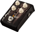 LR Baggs Align Delay Acoustic Delay Pedal