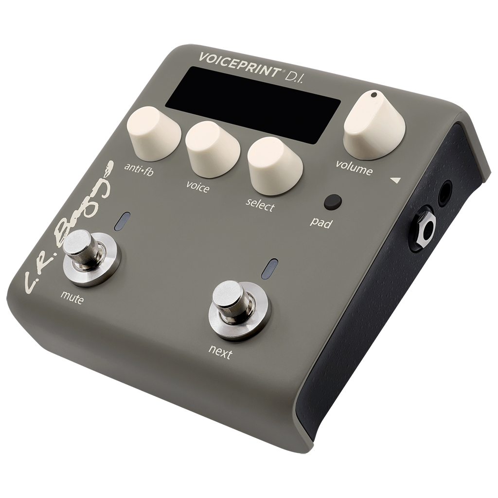LR Baggs Voiceprint DI