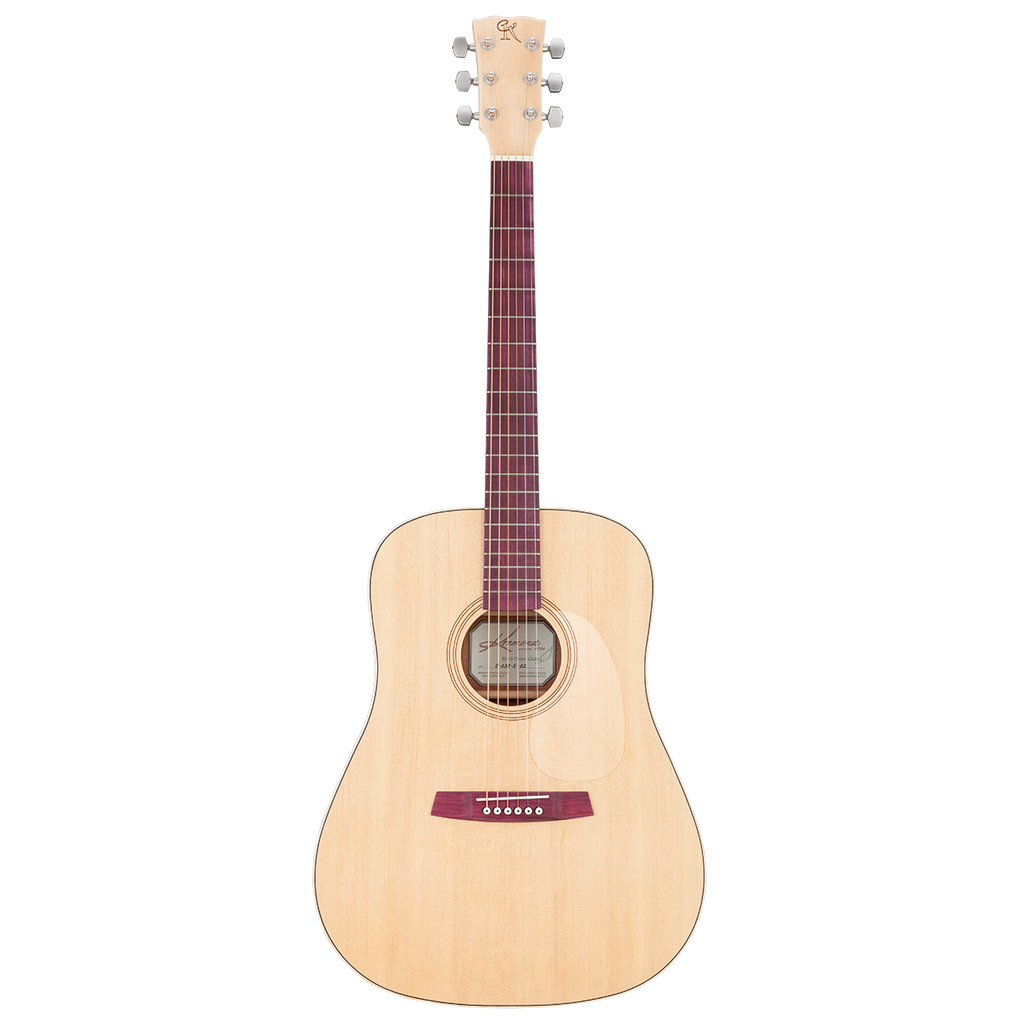 Kremona M10GG Green Globe Acoustic Guitar w/Case