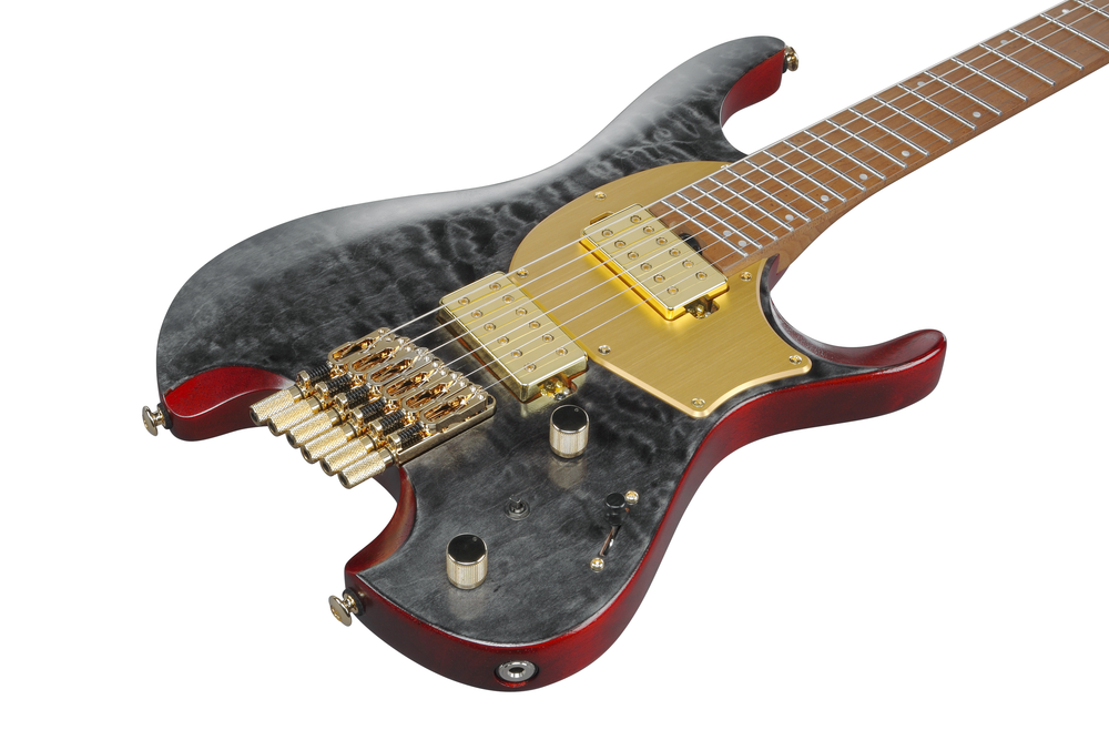 Ibanez MGFM10 Manual Gardner Signature Guitar - Obsidian Black Low Gloss