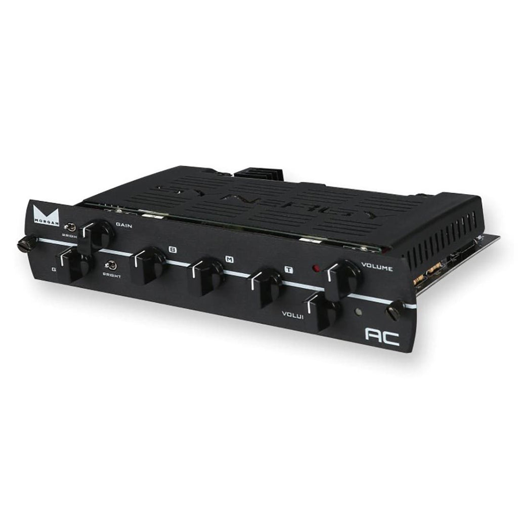 Synergy Morgan AC 2ch Tube Pre-Amp Module