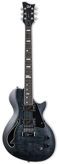 ESP LTD BW-1 Evertune Ben Weinmen Guitar w/Case - See Thru Black