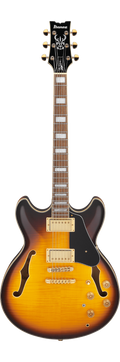 Ibanez JSM10EM John Scofield Signature Guitar - Two-Tone Burst
