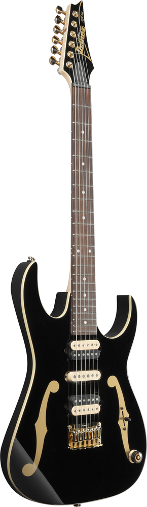Ibanez PGM50 BK Paul Gilbert Signature Guitar w/Gigbag - Black