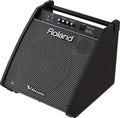 Roland PM200 180W Personal Drum Monitor (PM-200)
