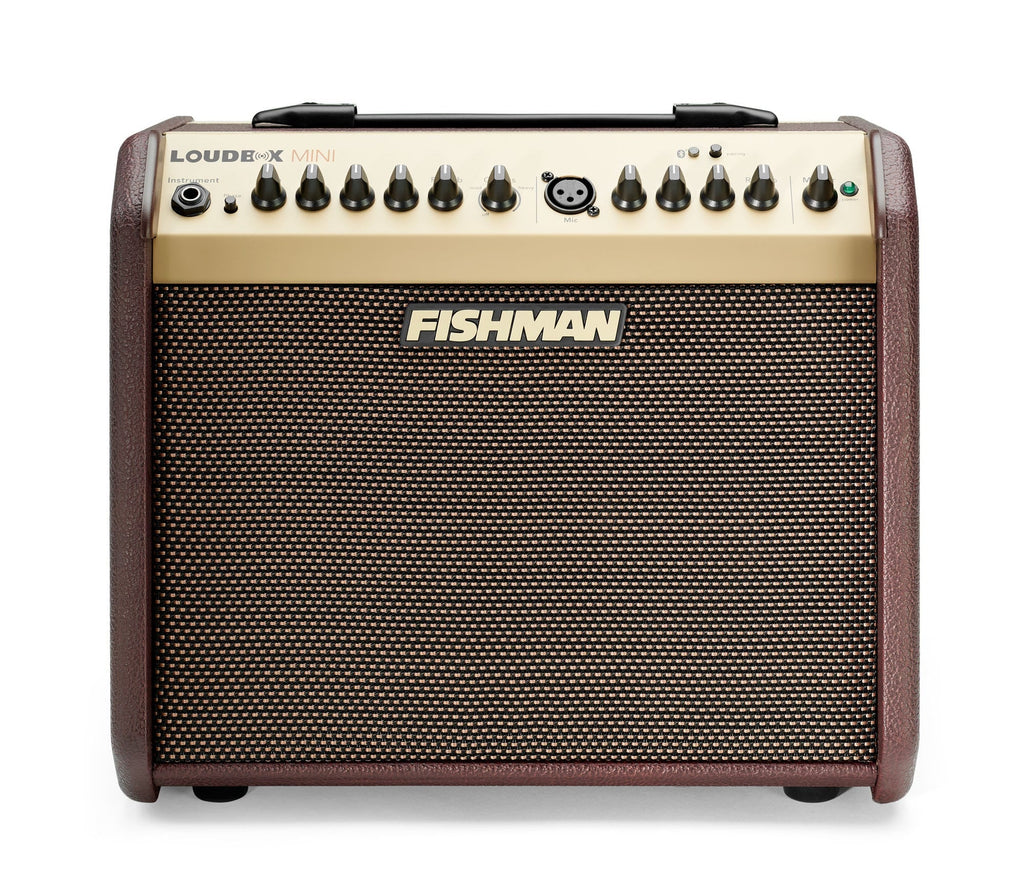 Fishman Loudbox Mini w/ Bluetooth Acoustic Amplifier