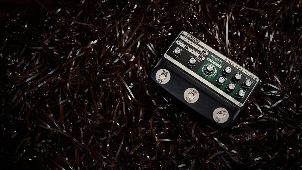 Boss RE-202 Space Echo Pedal