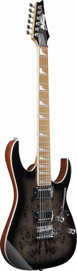 Ibanez RG220PA1 Electric Guitar - Transparent Brown Black Burst