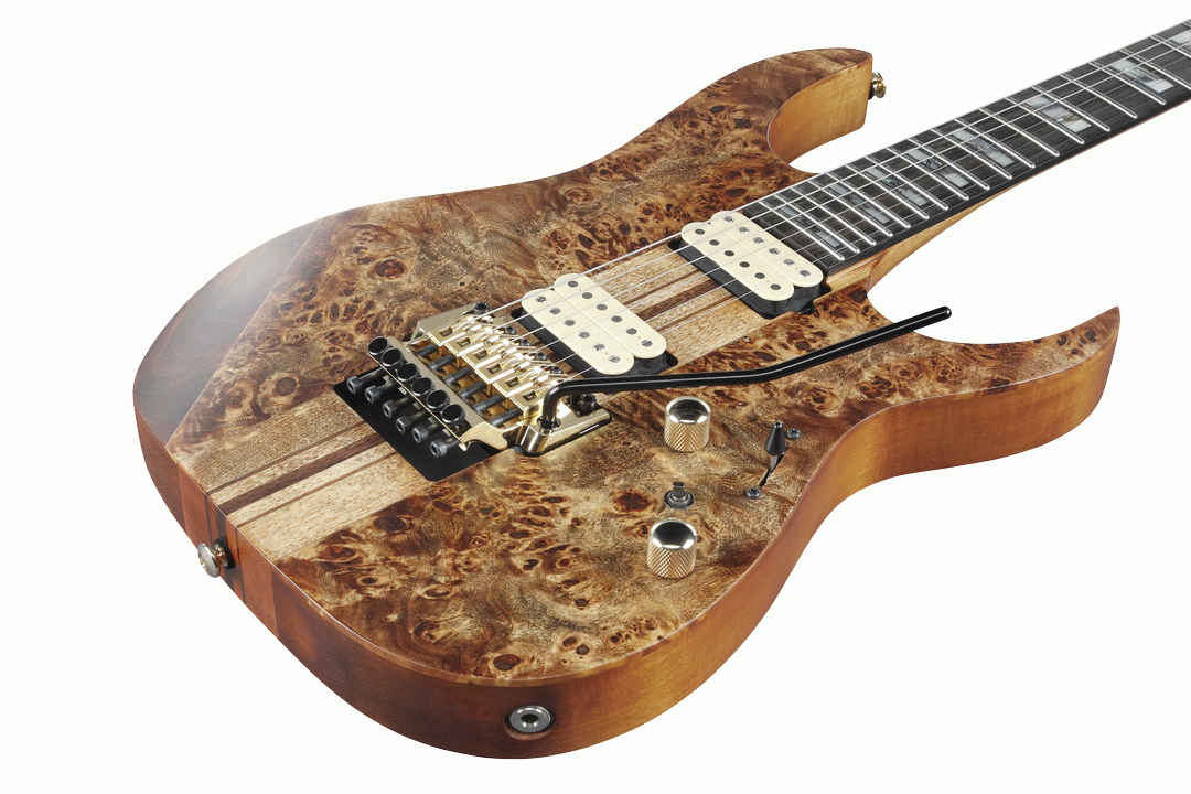 Ibanez RGT1220PB ABS Premium Electric Guitar w/Bag - Antique Brown Stained Flat