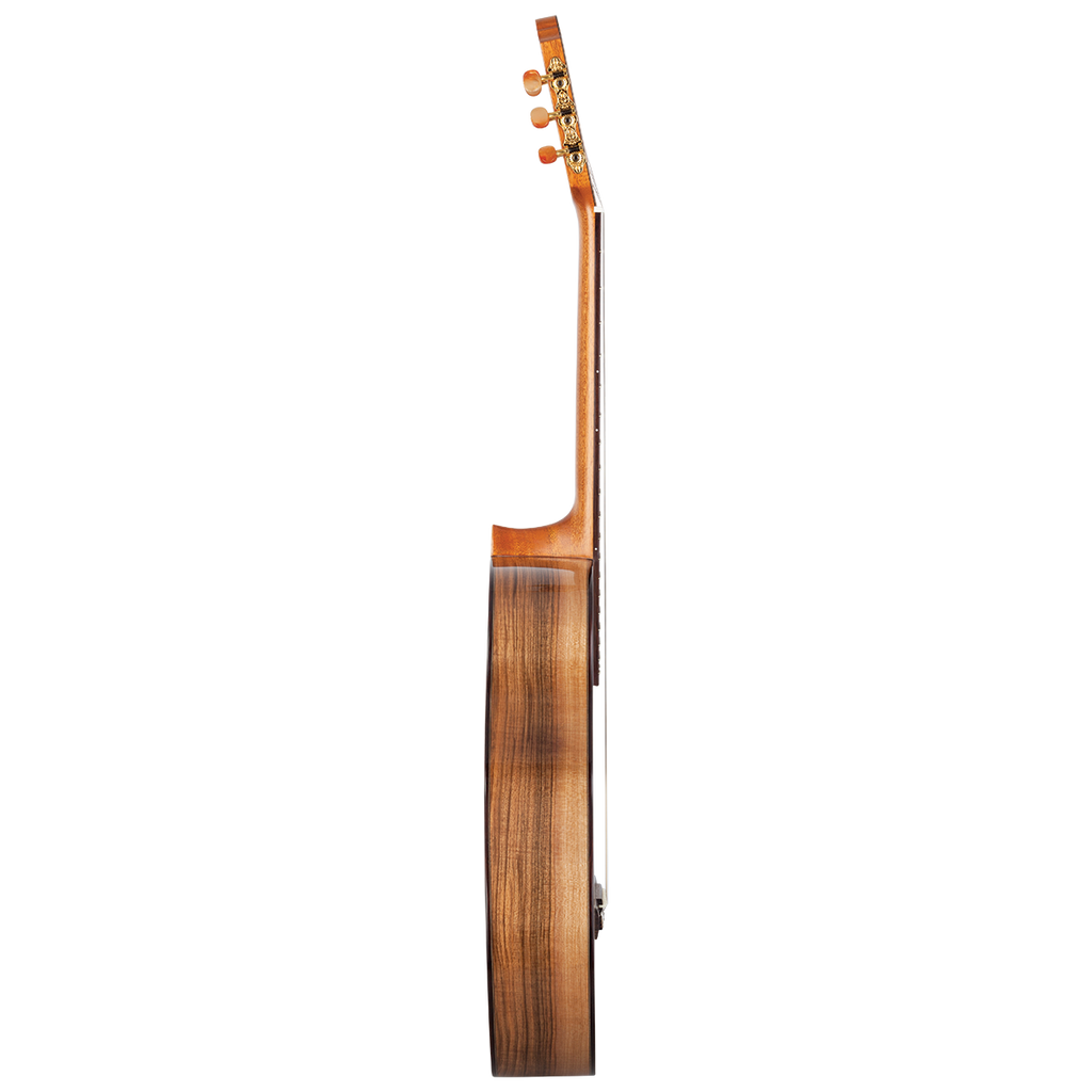 Kremona RS Rondo Classical Guitar w/Case - Spruce/Walnut