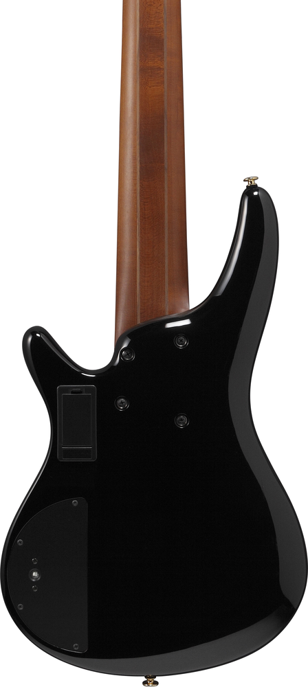 Ibanez SR3506 6 String Electric Bass w/ Case - Black