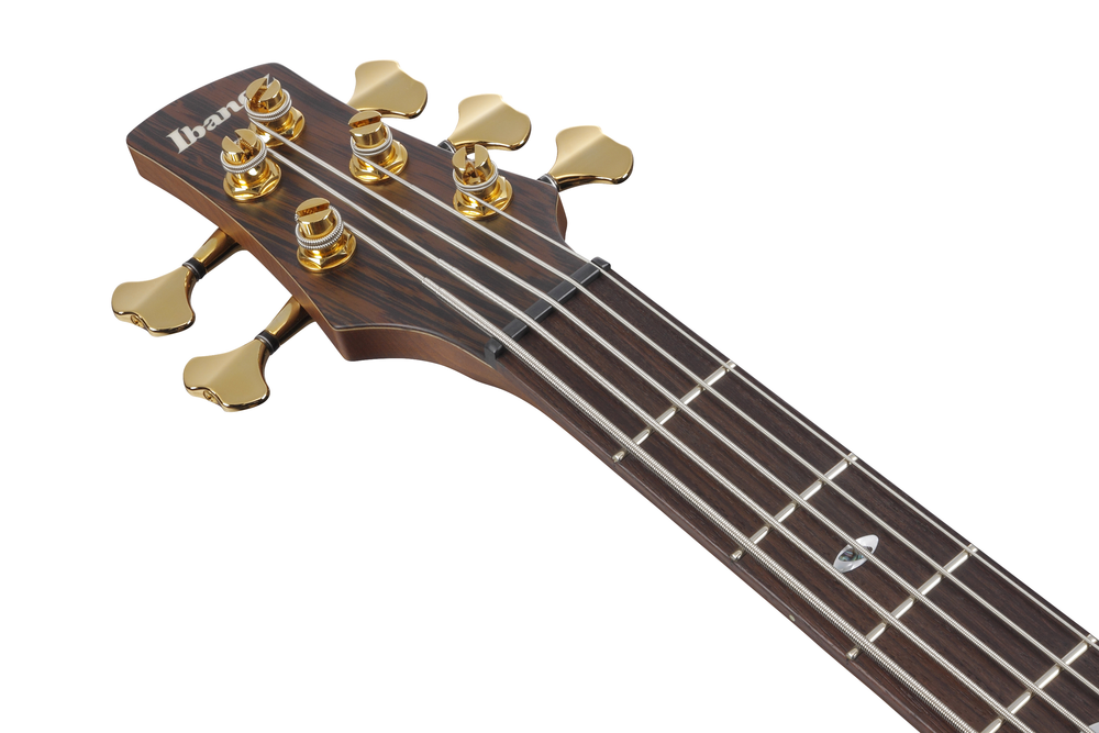 Ibanez SR5505 5 String Electric Bass w/ Case - Mocha Flat