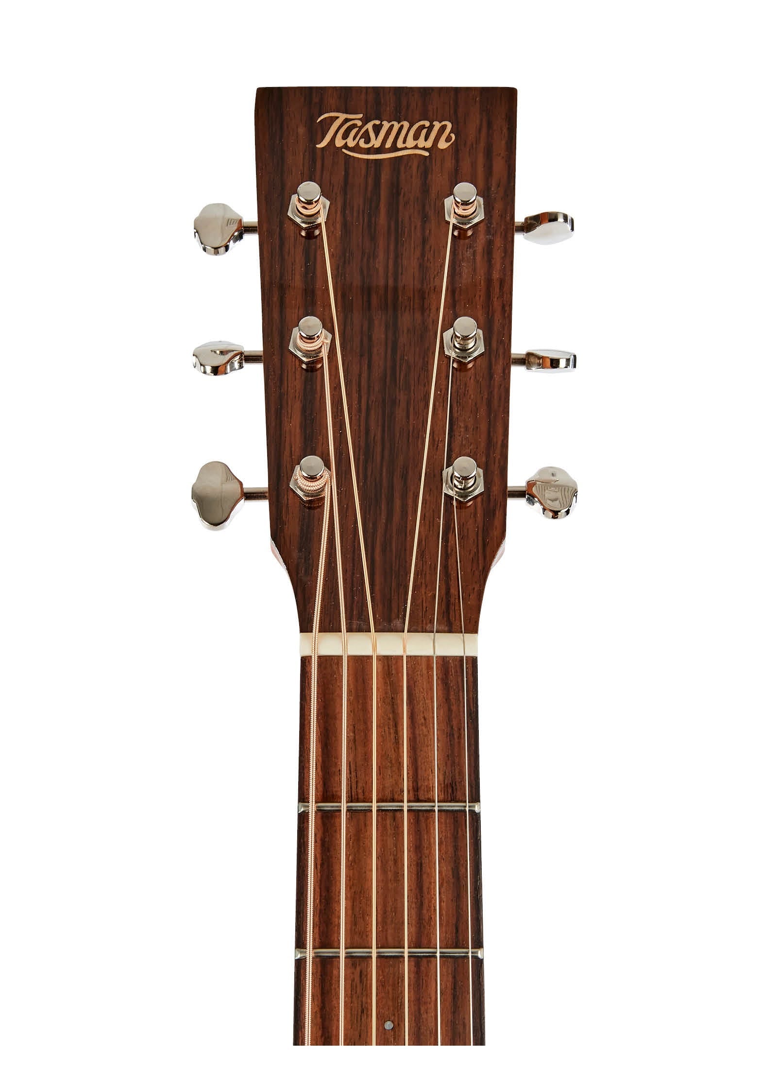Tasman Captain TA200D-E Dreadnought Acoustic/Electric Guitar w/Case