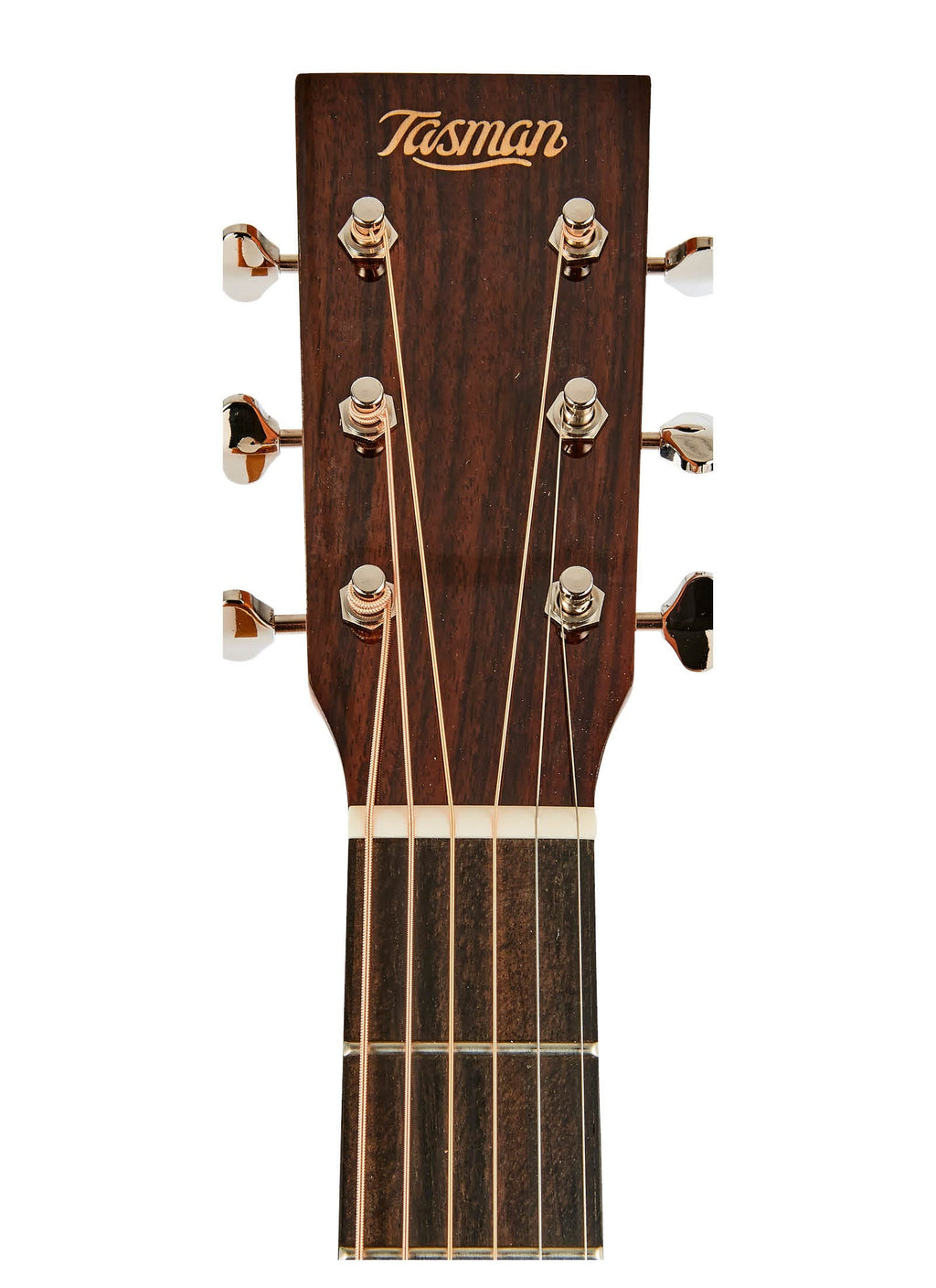 Tasman Admiral TA300-E Dreadnought Acoustic Electric Guitar w/Case