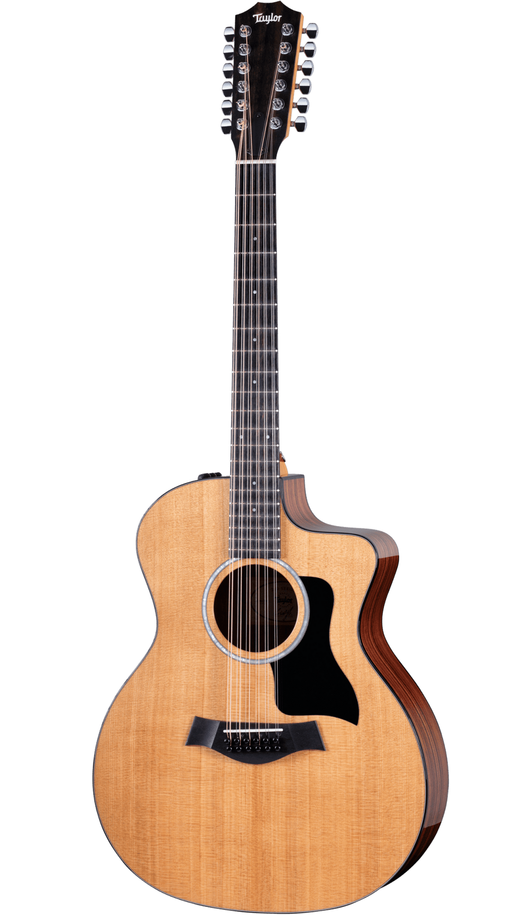 Taylor 254ce PLUS 12-String Acoustic Electric Guitar  - Spruce / Rosewood