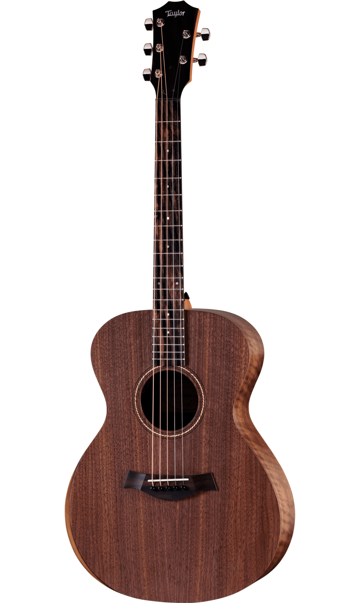 Taylor Jacob Collier Academy 22e 5-String