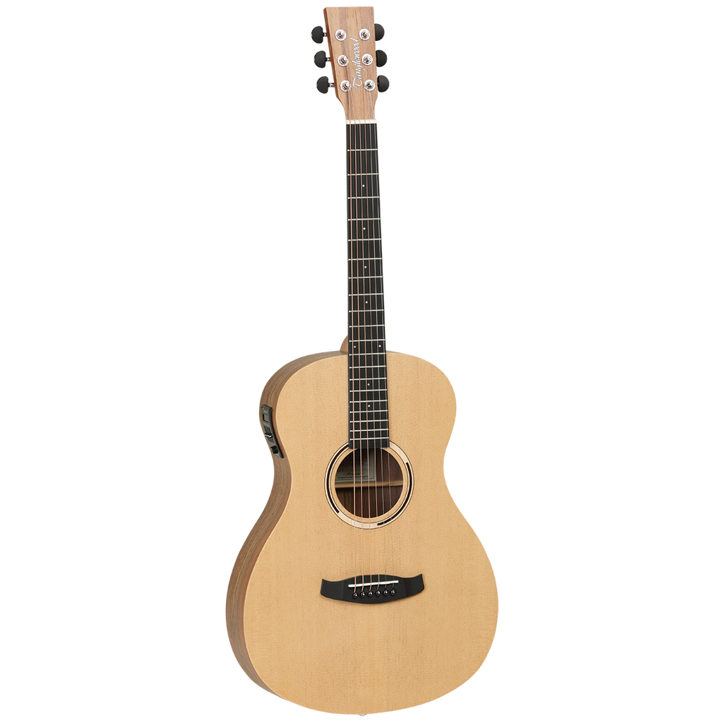 Tanglewood Discovery Exotic Parlour Acoustic Guitar - Spruce/Hawaiian Rainwood (TDBTPEHR)