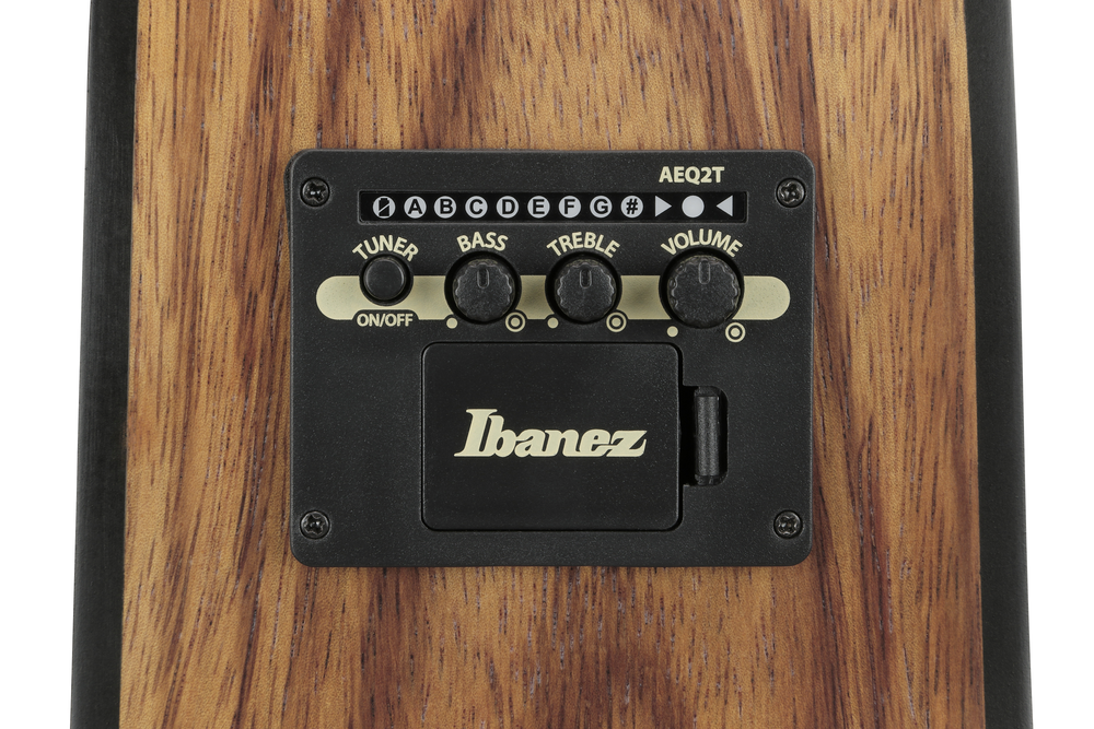 Ibanez V40WSCE Acoustic Guitar -  Open Pore Brown